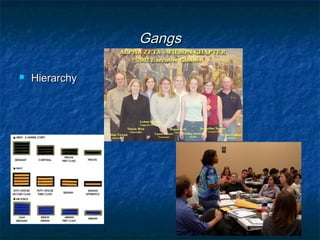 GangsGangs
 HierarchyHierarchy
 