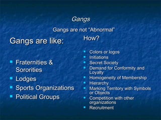 GangsGangs
Gangs are like:Gangs are like:
 Fraternities &Fraternities &
SororitiesSororities
 LodgesLodges
 Sports OrganizationsSports Organizations
 Political GroupsPolitical Groups
How?How?
 Colors or logosColors or logos
 InitiationsInitiations
 Secret SocietySecret Society
 Demand for Conformity andDemand for Conformity and
LoyaltyLoyalty
 Homogeneity of MembershipHomogeneity of Membership
 HierarchyHierarchy
 Marking Territory with SymbolsMarking Territory with Symbols
or Objectsor Objects
 Competition with otherCompetition with other
organizationsorganizations
 RecruitmentRecruitment
Gangs are not “Abnormal”Gangs are not “Abnormal”
 