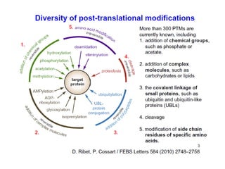 Post translational modification of proteins | PDF