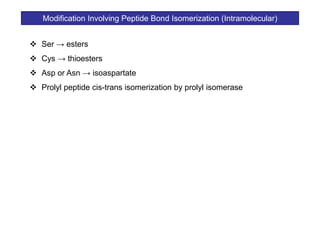 Post translational modification of proteins | PDF