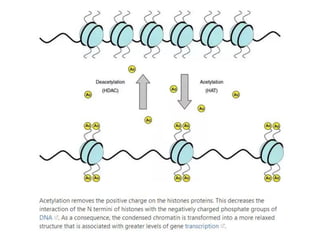Post translational modification of proteins | PDF
