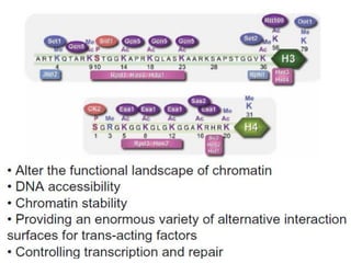 Post translational modification of proteins | PDF
