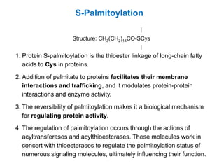 Post translational modification of proteins | PDF
