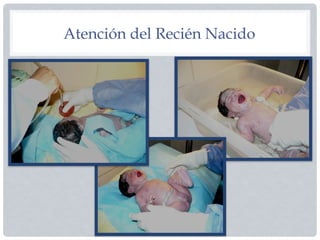 Atención del Recién Nacido
 