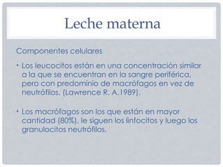 Leche materna
Componentes celulares
• Los leucocitos están en una concentración similar
a la que se encuentran en la sangre periférica,
pero con predominio de macrófagos en vez de
neutrófilos. (Lawrence R. A.1989).
• Los macrófagos son los que están en mayor
cantidad (80%), le siguen los linfocitos y luego los
granulocitos neutrófilos.
 