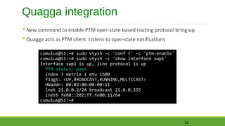Quagga Routing Prescriptive Topology Daemon - ptmd | PPT