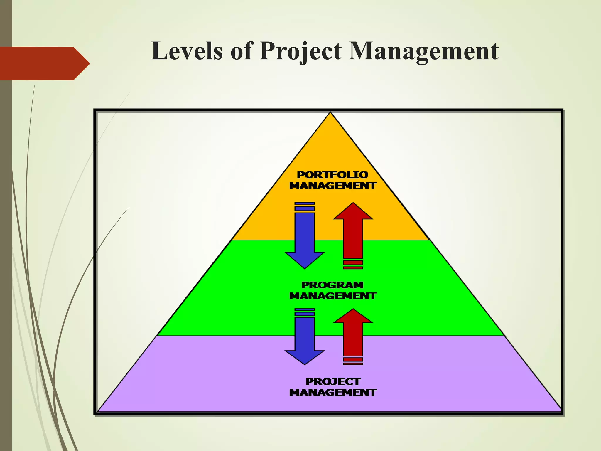 Levels of Project Management
 