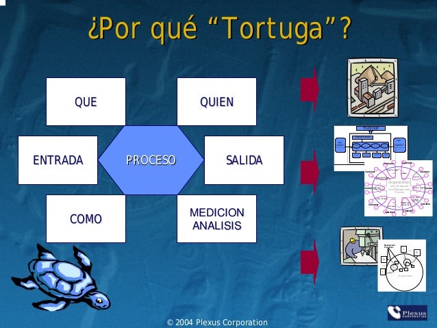 Diagramas de tortuga para la gestión de Calidad!!