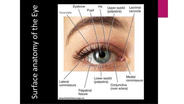 Ptosis
