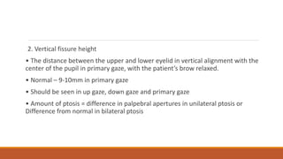 2. Vertical fissure height
• The distance between the upper and lower eyelid in vertical alignment with the
center of the pupil in primary gaze, with the patient’s brow relaxed.
• Normal – 9-10mm in primary gaze
• Should be seen in up gaze, down gaze and primary gaze
• Amount of ptosis = difference in palpebral apertures in unilateral ptosis or
Difference from normal in bilateral ptosis
 