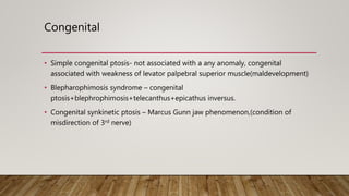 Congenital
• Simple congenital ptosis- not associated with a any anomaly, congenital
associated with weakness of levator palpebral superior muscle(maldevelopment)
• Blepharophimosis syndrome – congenital
ptosis+blephrophimosis+telecanthus+epicathus inversus.
• Congenital synkinetic ptosis – Marcus Gunn jaw phenomenon,(condition of
misdirection of 3rd nerve)
 