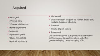 Acquired
 Neurogenic
• 3rd nerve palsy
• 3rd nerve misdirection
• Horner’s syndrome
 Myogenic
• Myasthenia gravis
• Ocular myopathies
• Myotonic dystrophy
 Mechanical
• Excessive weight to upper lid –tumor, excess skin,
multiple chalazion, lid edema
 Traumatic
• Trauma or post surgery
 Aponeurotic
LPS function is good, but aponeurosis is stretched
or thinning due to repetitive stress and effect
gravity and aging causes drooping of lid
 