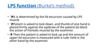 Ptosis Explanation for junior ophthalmoogist.pptx