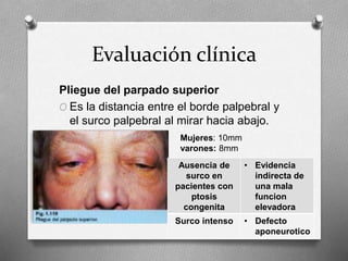 Evaluación clínica
Pliegue del parpado superior
O Es la distancia entre el borde palpebral y
el surco palpebral al mirar hacia abajo.
Mujeres: 10mm
varones: 8mm
Ausencia de
surco en
pacientes con
ptosis
congenita
• Evidencia
indirecta de
una mala
funcion
elevadora
Surco intenso • Defecto
aponeurotico
 