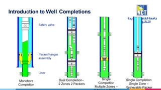 PTP 224 Oil & Gas Wells Production Operations and Well Testing ( LO1).pptx