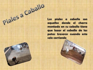 Los piales a caballo son
aquellos donde el charro
montado en su caballo tiene
que lazar el caballo de las
patas traseras cuando este
sale corriendo
 