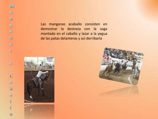 Las manganas acaballo consisten en
demostrar la destreza con la soga
montado en el caballo y lazar a la yegua
de las patas delanteras y así derribarla
 