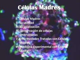 I. Células Madres
II. Su utilidad
III.Su localización
IV.Conservación de células
    embrionarias
V. Enfermedades Tratadas con Células
    Madres
VI.Medicina Experimental con Células
    Madres
 