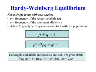Mechanisms of evolution-I | PPT