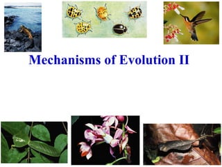 Mechanisms of Evolution II
 