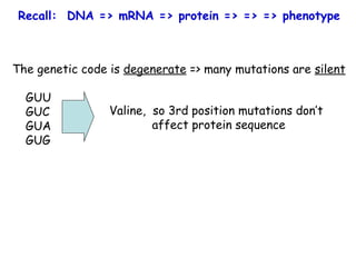 The genetic code is degenerate => many mutations are silent
GUU
GUC
GUA
GUG
Valine, so 3rd position mutations don’t
affect protein sequence
Recall: DNA => mRNA => protein => => => phenotype
 