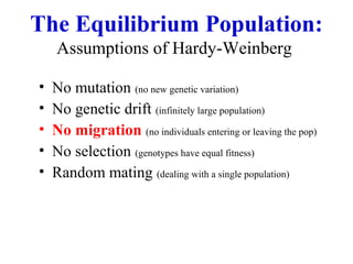 The Equilibrium Population:
Assumptions of Hardy-Weinberg
• No mutation (no new genetic variation)
• No genetic drift (infinitely large population)
• No migration (no individuals entering or leaving the pop)
• No selection (genotypes have equal fitness)
• Random mating (dealing with a single population)
 