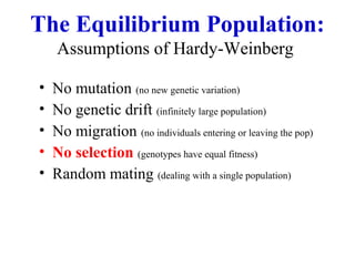 The Equilibrium Population:
Assumptions of Hardy-Weinberg
• No mutation (no new genetic variation)
• No genetic drift (infinitely large population)
• No migration (no individuals entering or leaving the pop)
• No selection (genotypes have equal fitness)
• Random mating (dealing with a single population)
 