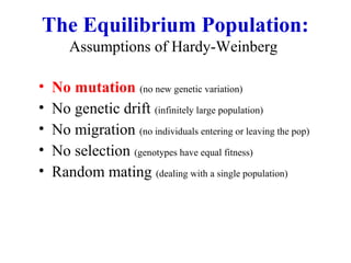 The Equilibrium Population:
Assumptions of Hardy-Weinberg
• No mutation (no new genetic variation)
• No genetic drift (infinitely large population)
• No migration (no individuals entering or leaving the pop)
• No selection (genotypes have equal fitness)
• Random mating (dealing with a single population)
 