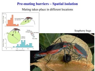 Species and speciation | PPT