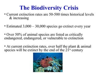 The Biodiversity Crisis
• Current extinction rates are 50-500 times historical levels
& increasing
• Estimated 3,000 – 30,000 species go extinct every year
• Over 50% of animal species are listed as critically
endangered, endangered, or vulnerable to extinction
• At current extinction rates, over half the plant & animal
species will be extinct by the end of the 21st
century
 