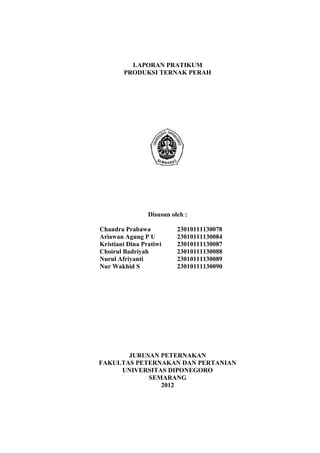 LAPORAN PRATIKUM
        PRODUKSI TERNAK PERAH




                 Disusun oleh :

Chandra Prabawa            23010111130078
Ariawan Agung P U          23010111130084
Kristiani Dina Pratiwi     23010111130087
Choirul Badriyah           23010111130088
Nurul Afriyanti            23010111130089
Nur Wakhid S               23010111130090




       JURUSAN PETERNAKAN
FAKULTAS PETERNAKAN DAN PERTANIAN
     UNIVERSITAS DIPONEGORO
            SEMARANG
               2012
 