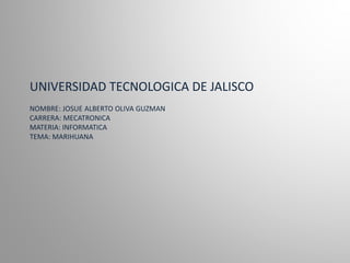 UNIVERSIDAD TECNOLOGICA DE JALISCO 
NOMBRE: JOSUE ALBERTO OLIVA GUZMAN 
CARRERA: MECATRONICA 
MATERIA: INFORMATICA 
TEMA: MARIHUANA 
 
