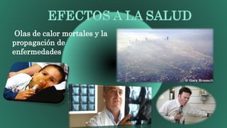 Olas de calor mortales y la
propagación de
enfermedades
 