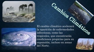 El cambio climático acelerará
la aparición de enfermedades
infecciosas, como las
tropicales, que encontrarán
condiciones propicias para su
expansión, incluso en zonas
del Norte.
 