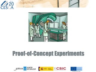 Proof-of-Concept Experiments
 