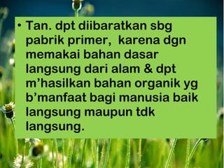 • Tan. dpt diibaratkan sbg
  pabrik primer, karena dgn
  memakai bahan dasar
  langsung dari alam & dpt
  m’hasilkan bahan organik yg
  b’manfaat bagi manusia baik
  langsung maupun tdk
  langsung.
 