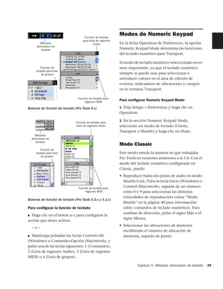 Función de teclado
                                                             Modos de Numeric Keypad
                                    para lista de regiones
        Métodos                              Audio           En la ﬁcha Operation de Preferences, la opción
      abreviados de
         teclado                                             Numeric Keypad Mode determina las funciones
                                                             del teclado numérico para Transport.

                                                             El modo de teclado numérico seleccionado no es
        Función de                                           muy importante, ya que el teclado numérico
     teclado para lista
         de grupos                                           siempre se puede usar para seleccionar e
                                                             introducir valores en el área de edición de
                                                             eventos, indicadores de ubicaciones y campos
                                                             en la ventana Transport.

                                 Función de teclado para
                                      regiones MIDI
                                                             Para conﬁgurar Numeric Keypad Mode:

Botones de función de teclado (Pro Tools 6.x)                1 Elija Setups > Preferences y haga clic en
                                                             Operation.

                               Función de teclado para
                                                             2 En la sección Numeric Keypad Mode,
                                lista de regiones Audio      seleccione un modo de teclado (Classic,
                                                             Transport o Shuttle) y haga clic en Done.
    Métodos
  abreviados de
     teclado
                                                             Modo Classic
        Función de
     teclado para lista                                      Este modo emula la manera en que trabajaba
         de grupos
                                                             Pro Tools en versiones anteriores a la 5.0. Con el
                                                             modo del teclado numérico configurado en
                                                             Classic, puede:
                                                             • Reproducir hasta dos pistas de audio en modo
                                                               Shuttle Lock. Pulse la tecla Inicio (Windows) o
                                 Función de teclado para
                                                               Control (Macintosh), seguida de un número
                                      regiones MIDI            entre 0 y 9 para seleccionar las distintas
                                                               velocidades de reproducción (véase "Modo
Botones de función de teclado (Pro Tools 5.3.x y 5.1.x)
                                                               Shuttle" en la página 40 para información
Para conﬁgurar la función de teclado:                          sobre comandos de teclado numérico). Para
                                                               cambiar de dirección, pulse el signo Más o el
■ Haga clic en el botón a–z para conﬁgurar la
                                                               signo Menos.
acción que desee activar.
                                                             • Seleccionar las ubicaciones de memoria
  –o–
                                                               escribiendo el número de ubicación de
■ Mantenga pulsadas las teclas Control+Alt                     memoria, seguido de punto.
(Windows) o Comando+Opción (Macintosh), y
pulse una de las teclas siguientes: 1 (Comandos),
2 (Lista de regiones Audio), 3 (Lista de regiones
MIDI) o 4 (Lista de grupos).

                                                                       Capítulo 5: Métodos abreviados de teclado   39
 