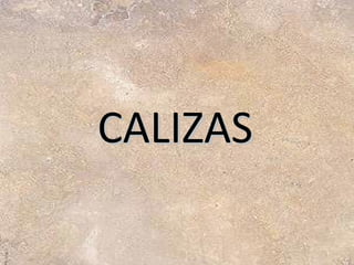 CALIZAS 