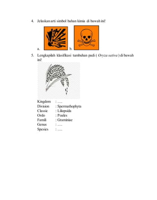 4. Jelaskan arti simbol bahan kimia di bawah ini!
a. b.
5. Lengkapilah klasifikasi tumbuhan padi ( Oryza sativa ) di bawah
ini!
Kingdom : ….
Division : Spermathophyta
Classic : Liliopsida
Ordo : Poales
Famili : Graminiae
Genus : ….
Spesies : ….
 