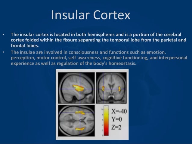 PTSD and the Insular Cortex PTSD and the Insular Cortex