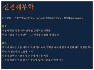 신경해부학
기능변화 - 전전두엽(prefrontal cortex), 편도(amygdala), 해마(hippocampus)
편도;
위협과 공포 같은 매우 긴장된 감정적인 기억을
외상 사건을 겪는 동안이나 그 기억을 회상할 때 활성화
해마;
과거에 벌어진 일을 시간에 맞게 정리하고, 경험을 순서에 맞게 배열해 과거 경험을 인식
하는 데 필요한 정보들을 처리
사건이 일어난 시간과 공간 등의 배경을 처리
시간의 흐름에 따라 관점과 장소에 맞게 사건을 기억에 저장
 