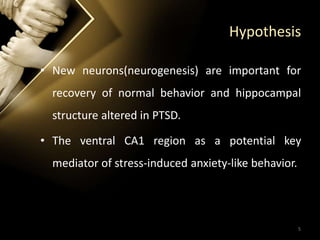 Hypothesis
• New neurons(neurogenesis) are important for
recovery of normal behavior and hippocampal
structure altered in PTSD.
• The ventral CA1 region as a potential key
mediator of stress-induced anxiety-like behavior.
5
 