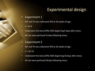 Experimental design
• Experiment 1
• WT and TK rats underwent SPS at 16 weeks of age .
• n = 8–9
• Underwent the tests (EPM, NSF) beginning 9 days after stress.
• All rats were perfused 31 days following stress .
• Experiment 2
• WT and TK rats underwent SPS at 16 weeks of age .
• n = 10–11
• Underwent the tests (EPM, NSF) beginning 36 days after stress.
• All rats were perfused 58 days following stress .
7
 