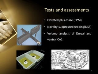 Tests and assessments
• Elevated plus-maze (EPM)
• Novelty-suppressed feeding(NSF)
• Volume analysis of Dorsal and
ventral CA1
9
 