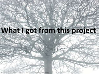 What I got from this projectThis image is used under a CC license from http://www.flickr.com/photos/anotherphotograph/418050703/