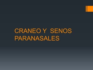 CRANEO Y SENOS
PARANASALES
 