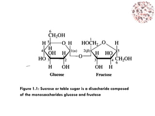 Figure 1.1: Sucrose or table sugar is a disacharide composed
of the monosaccharides glucose and fructose
 