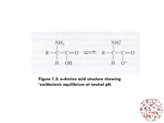 Figure 1.3: a-Amino acid structure showing
‘zwitterionic equilibrium at neutral pH.
 