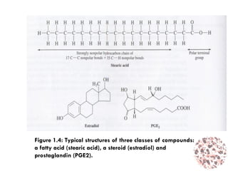 Figure 1.4: Typical structures of three classes of compounds:
a fatty acid (stearic acid), a steroid (estradiol) and
prostaglandin (PGE2).
 