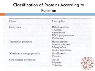 Classification of Proteins According to
Function
 